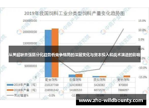 从英超联赛强弱分化趋势看竞争格局的深层变化与资本投入和战术演进的影响